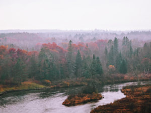 Minnesota river in Martin County