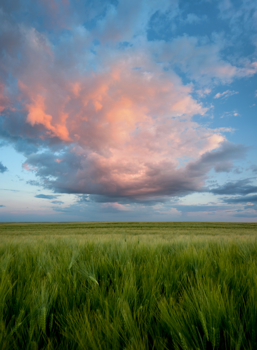 Nebraska field Thurston County