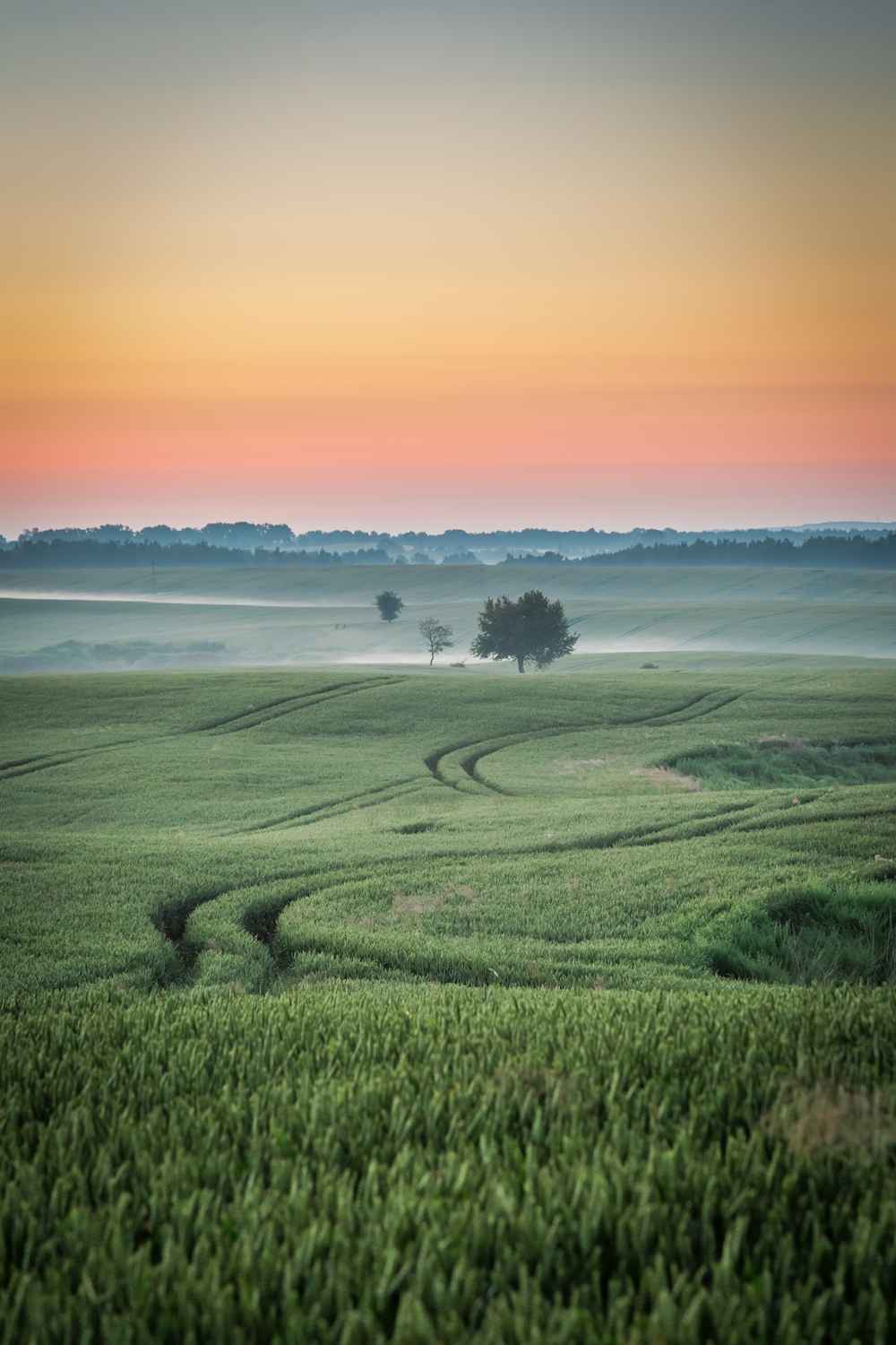 Nebraska fields Washington County