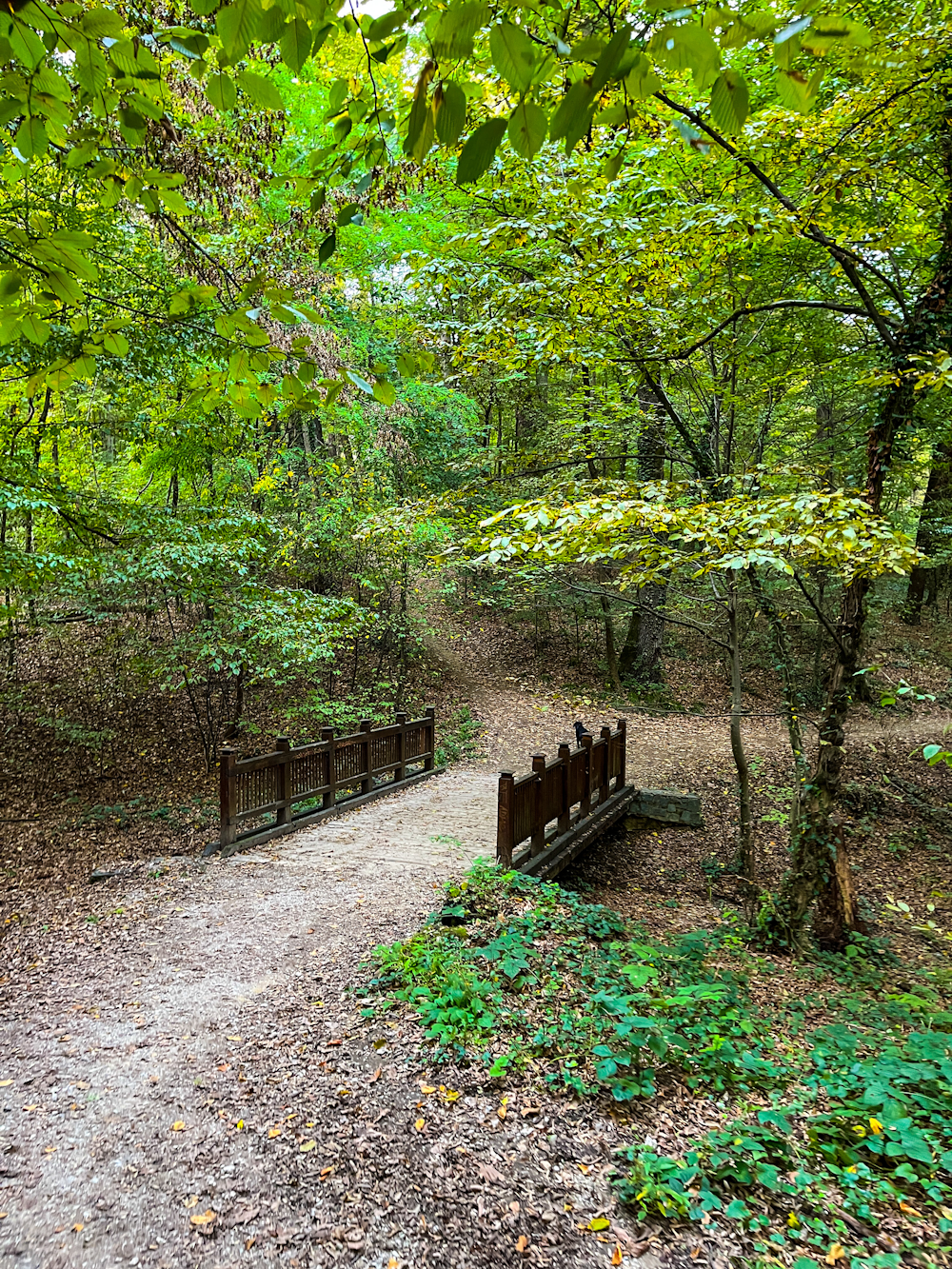 Ponca State Park Dixon County Nebraska