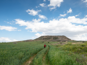 Yankton county field in South Dakota