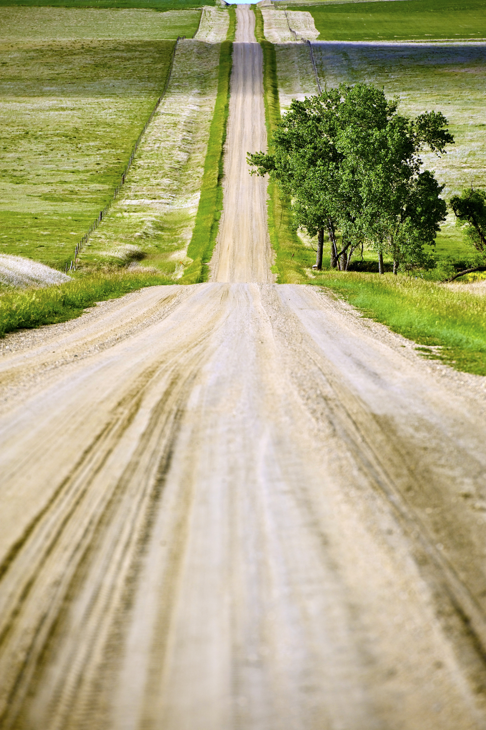 country road in McCook county in South Dakota