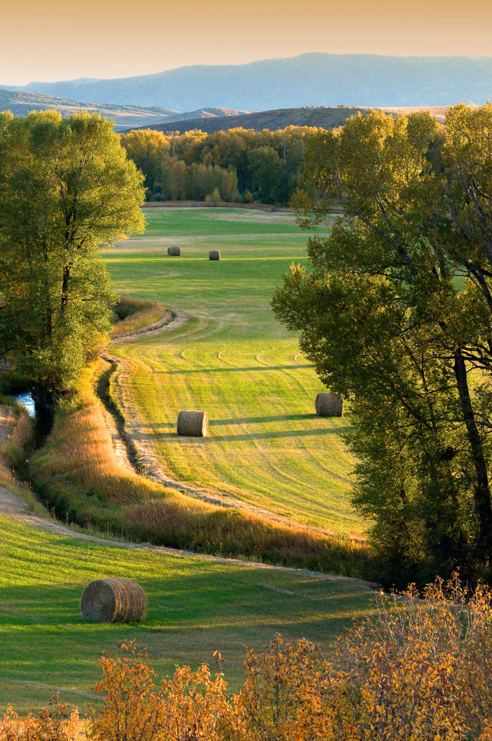 fields of hay iowa