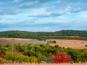 county Iowa