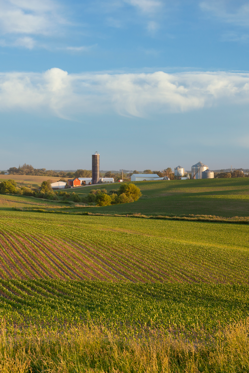 iowa farm