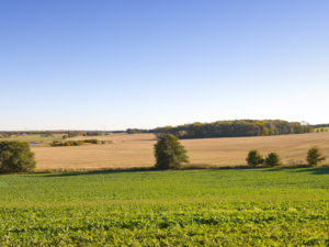 iowa farmland