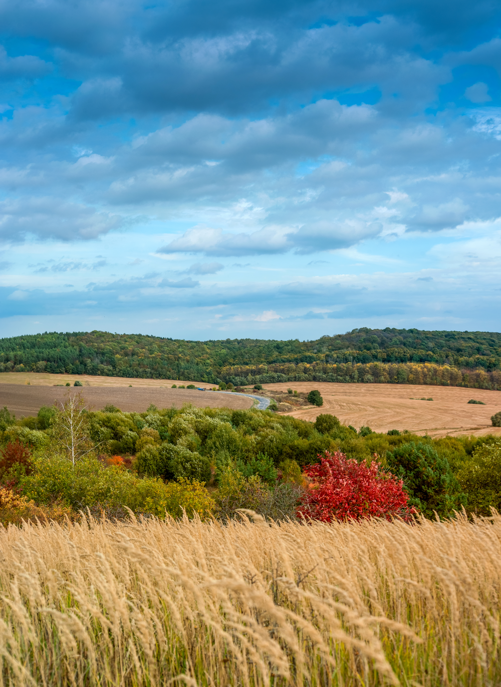 county Iowa