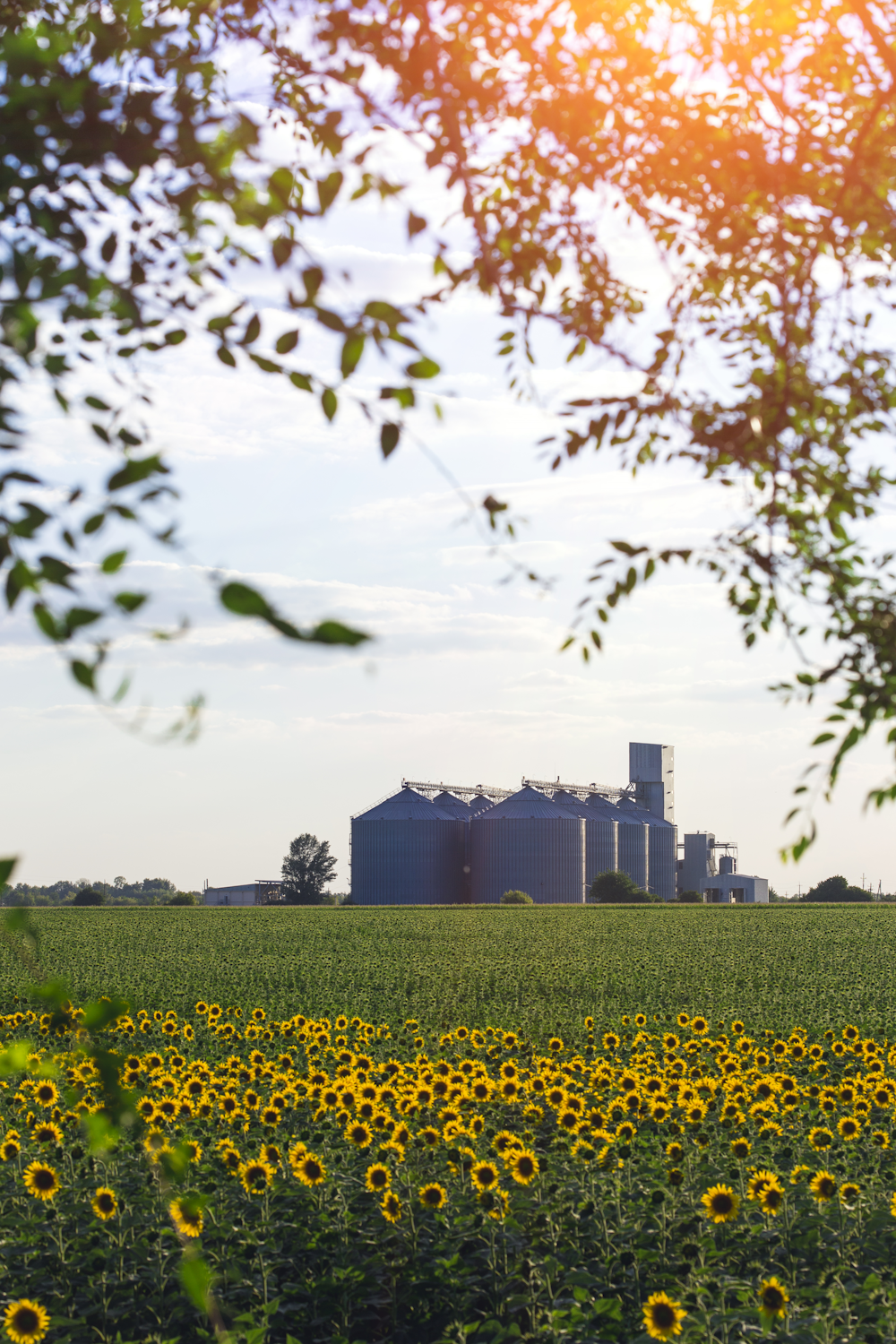 south dakota farm in hanson county