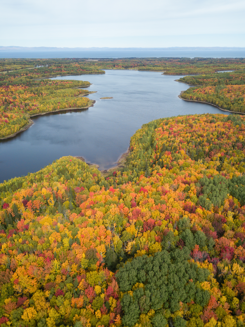 minnesota forest in Lyon County