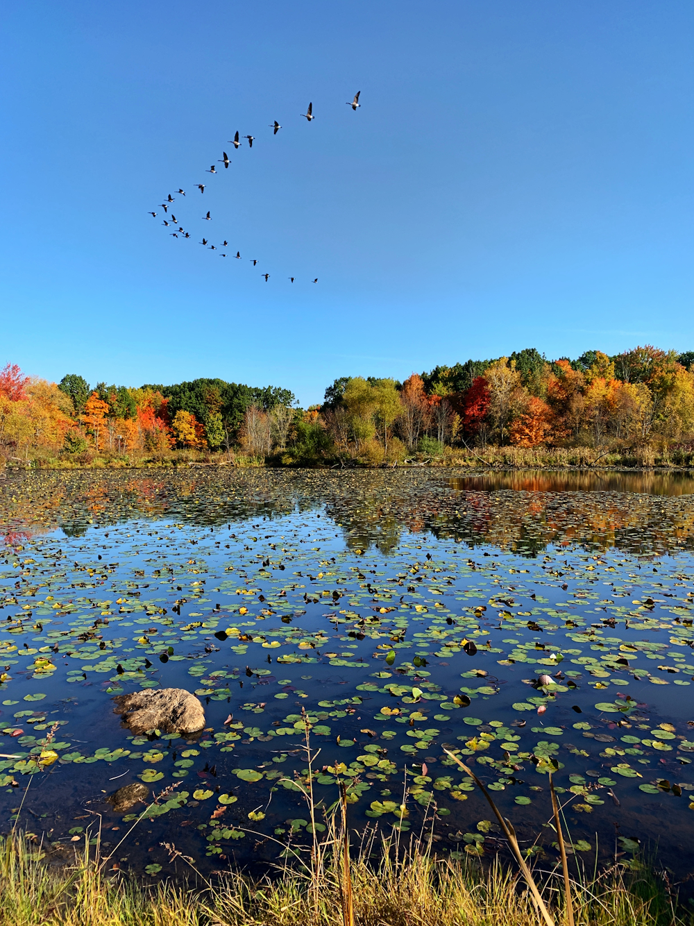 minnesota lake in Jackson County