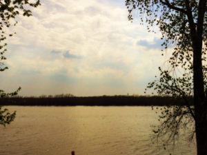 minnesota lakes in Murray County