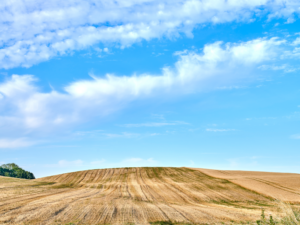 south dakota farmland Davison County