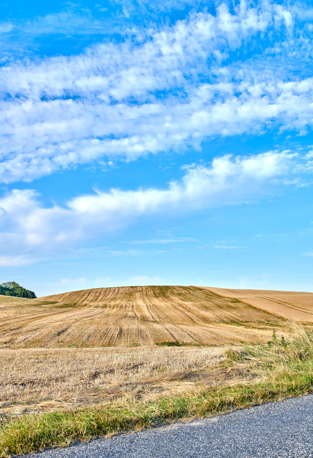 south dakota farmland Davison County